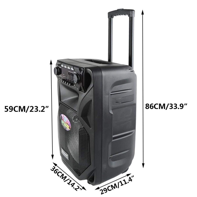 ELEKOM 1305 Karaoke Zvučnik 12″ 120W + Light Show 2