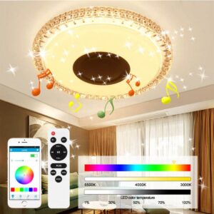 Led RGB Plafonjera Sa Bluetooth Zvučnikom 24/36W - plafonjera sa zvučnikom
